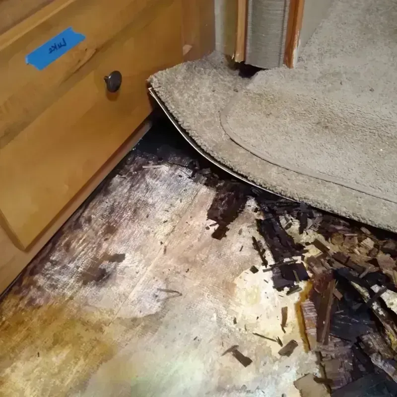 Best Wood Floor Water Damage Service in Wauseon, OH